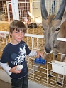 Kids_StateFair-2011 (60)
